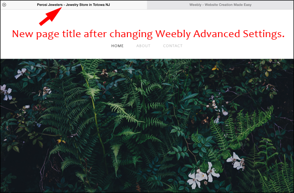 How to Edit Page Titles and Meta Descriptions in Weebly 1337-new-page-title-9