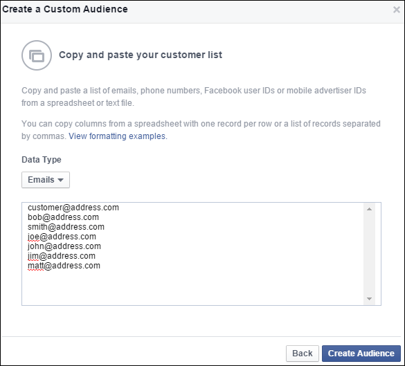 Uploading Your Customer List to Facebook Custom Audience: Holiday 2015 Run-up 1352-import-emails-24