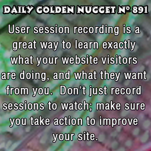 Advanced Ways to Track and Improve Your Website Sales 5155-daily-golden-nugget-891