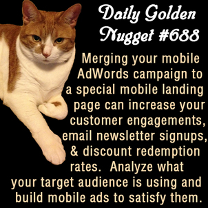Learning Internet Marketing From a Cat 539-daily-golden-nugget-688