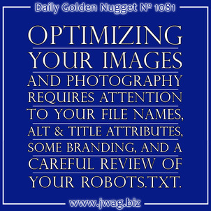 Optimizing Images for Google Image Search in 2014 - Important Image SEO Steps daily-golden-nugget-1081-61