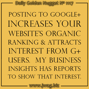 Google My Business: Insights Reports - Part 2 daily-golden-nugget-1117-17